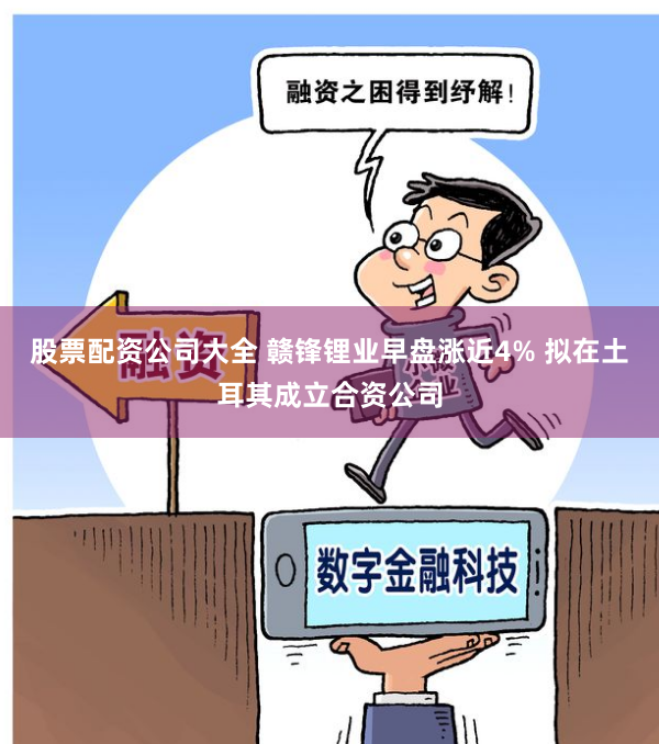 股票配资公司大全 赣锋锂业早盘涨近4% 拟在土耳其成立合资公司