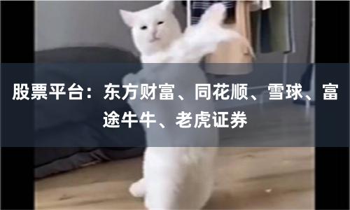 股票平台：东方财富、同花顺、雪球、富途牛牛、老虎证券