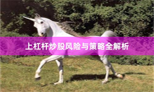 上杠杆炒股风险与策略全解析